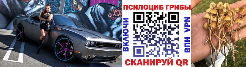 Псилоцибиновые грибы мицелий  купить закладку  Кувшиново 